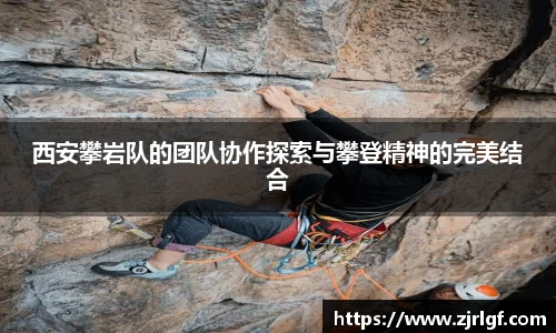 万博max官网